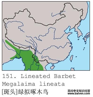 [��ͷ]������ľ��ĵ����ֲ�ͼ