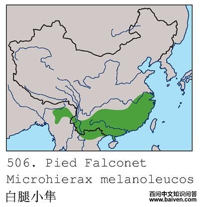 [����]С���ĵ����ֲ�ͼ