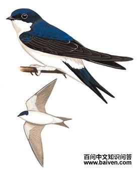 [�׸�]ë�����ͼ��