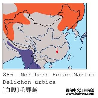 [�׸�]ë����ĵ����ֲ�ͼ