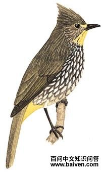 �������ǵ�ͼ��