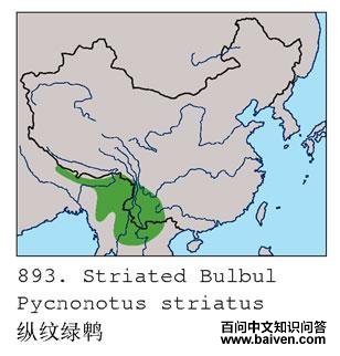 �������ǵĵ����ֲ�ͼ