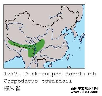 ����ȸ�ĵ����ֲ�ͼ