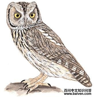 ���ƽ��^��ͼ��