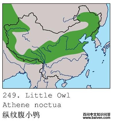 ���Ƹ�С�^�ĵ����ֲ�ͼ