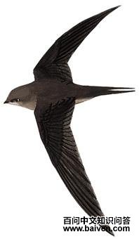 �������ͼ��