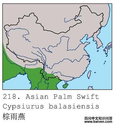 ������ĵ����ֲ�ͼ