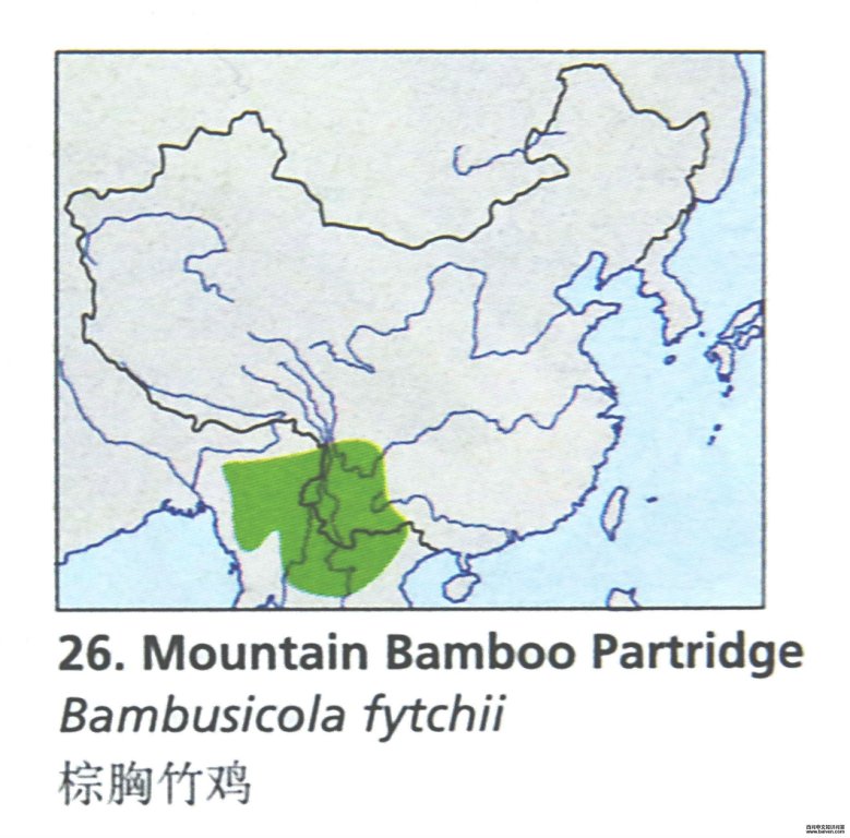 �����񼦵ĵ����ֲ�ͼ