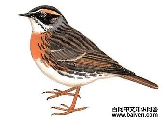 �������ҵ�ͼ��