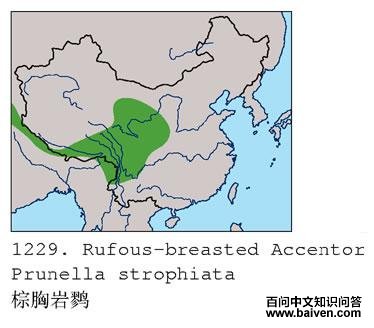 �������ҵĵ����ֲ�ͼ