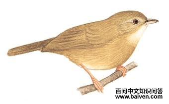 �������̵�ͼ��