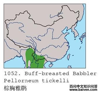 �������̵ĵ����ֲ�ͼ