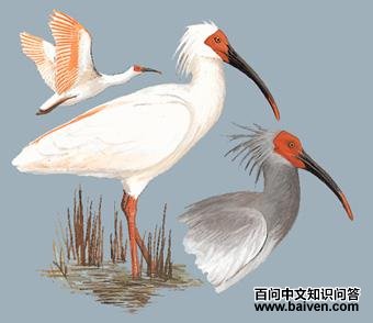 ���q��ͼ��