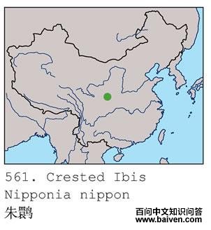 ���q�ĵ����ֲ�ͼ