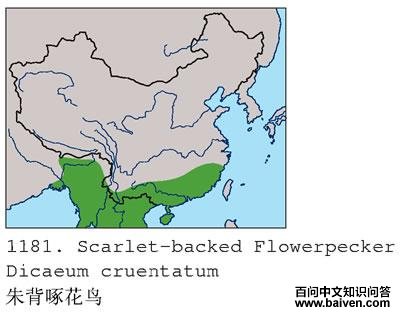 �챳�Ļ���ĵ����ֲ�ͼ