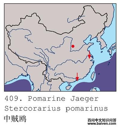 ����Ÿ�ĵ����ֲ�ͼ