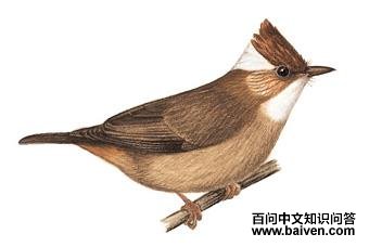 ������̵�ͼ��