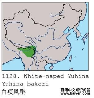 ������̵ĵ����ֲ�ͼ