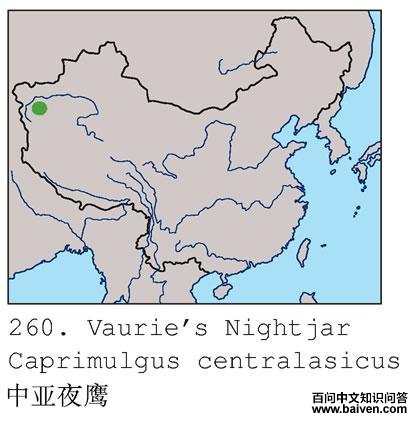 ����ҹӥ�ĵ����ֲ�ͼ