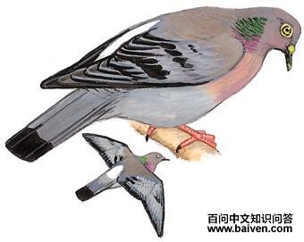 ���Ǹ��ͼ��