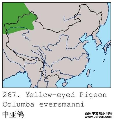 ���Ǹ�ĵ����ֲ�ͼ