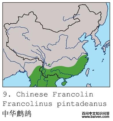 �л����ĵ����ֲ�ͼ