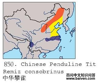 �л���ȸ�ĵ����ֲ�ͼ