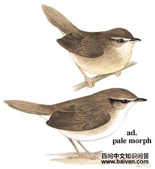 �л��̳�ݺ��ͼ��