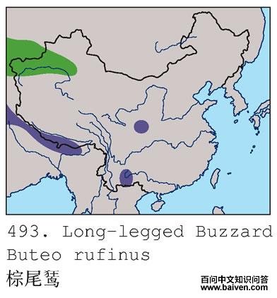 ��β�\�ĵ����ֲ�ͼ