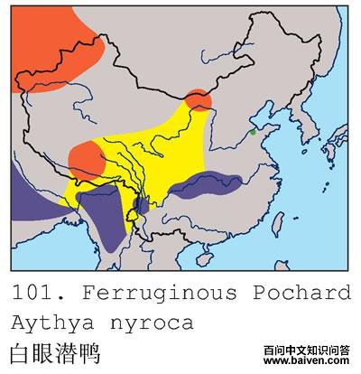 ����ǱѼ�ĵ����ֲ�ͼ