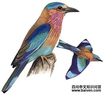 ���ط�ɮ��ͼ��