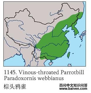 ��ͷѻȸ�ĵ����ֲ�ͼ