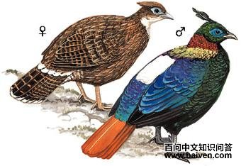 ��β������ͼ��