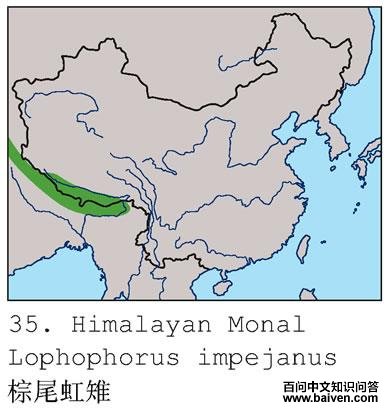 ��β�����ĵ����ֲ�ͼ