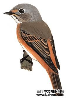 ��β���l��ͼ��