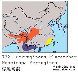 ��β���l�ĵ����ֲ�ͼ