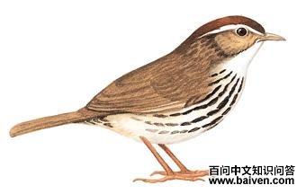 ��ͷ���̵�ͼ��