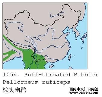 ��ͷ���̵ĵ����ֲ�ͼ