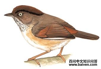 ��ͷȸ�̵�ͼ��