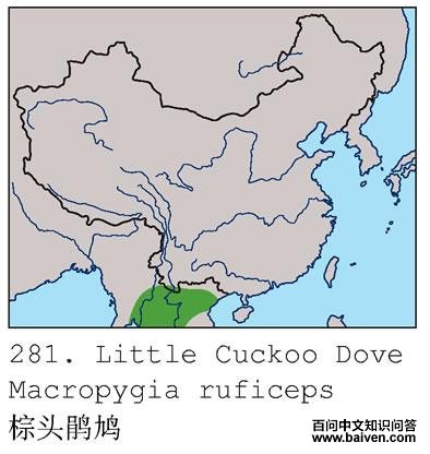 ��ͷ���ĵ����ֲ�ͼ