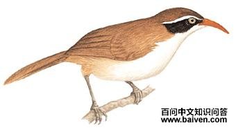 ��ͷ�����̵�ͼ��