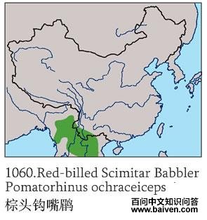 ��ͷ�����̵ĵ����ֲ�ͼ