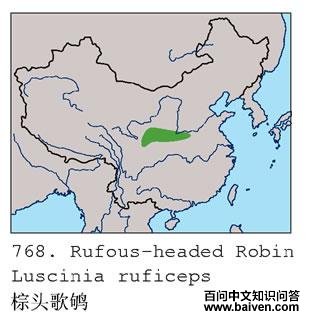 ��ͷ���ĵ����ֲ�ͼ