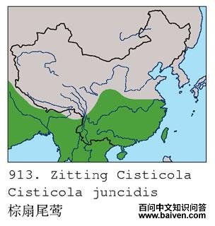 ����βݺ�ĵ����ֲ�ͼ