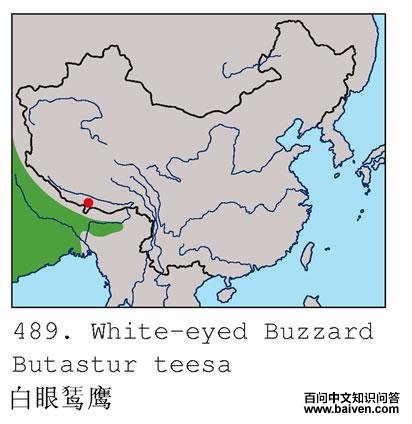 �����\ӥ�ĵ����ֲ�ͼ