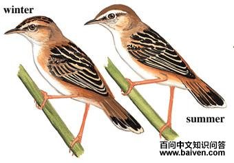 ����βݺ��ͼ��