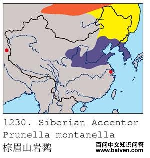 ��üɽ���ҵĵ����ֲ�ͼ