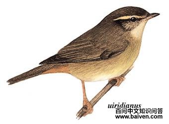 ��ü��ݺ��ͼ��