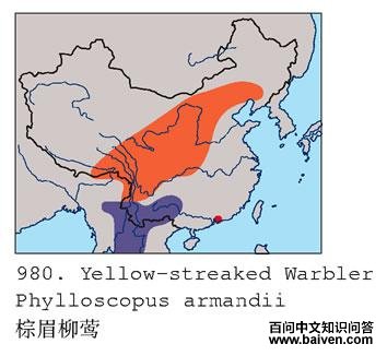 ��ü��ݺ�ĵ����ֲ�ͼ