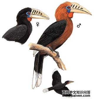 �ؾ�Ϭ���ͼ��